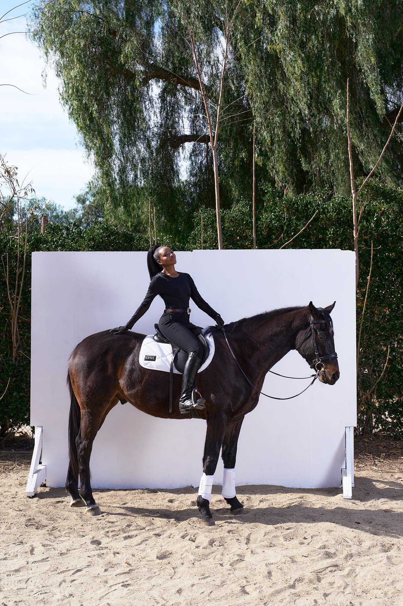 Hansen Dam Breeches