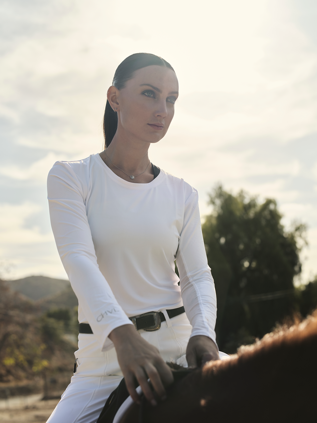Hansen Dam Long Sleeve Mesh Top
