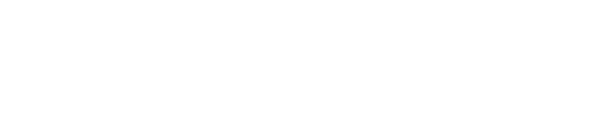 CHVL LLC